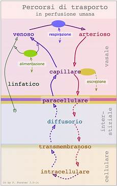 idraulica dispense idraulica circolatoria dispense medpop idraulica dispense idraulica circolatoria dispense medpop