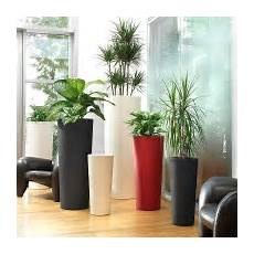 vasi per piante da interno moderni vasi da giardino ed interno vendita bestprato vasi per piante da interno moderni vasi da giardino ed interno vendita bestprato