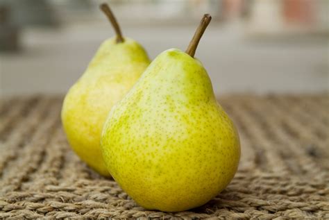 7 Different Types of Pears in Season This Fall