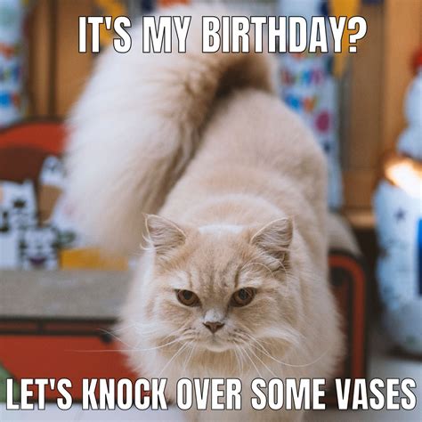 Cat Birthday Meme