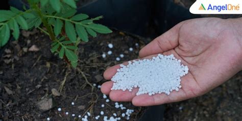 India Records 7.17 MT in Urea Imports During Apr–Nov Period: FAI Data