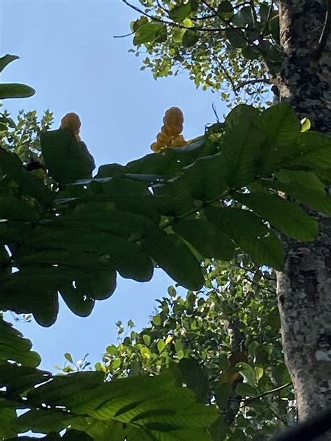 CARDAMOM COUNTY BY XANDARI (Kumily) - Hotel Reviews, Photos, Rate ...