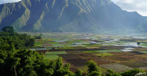 Eksplorasi Pesona Bukit Selong Sembalun Lombok