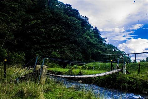 SANTA RITA RESERVA NATURAL (2026) All You Need to Know BEFORE You Go ...