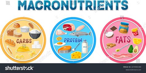 Image result for Macronutrients Basic Structure