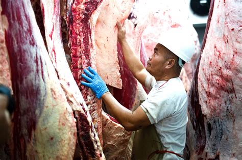 Image result for Beef Processing Process