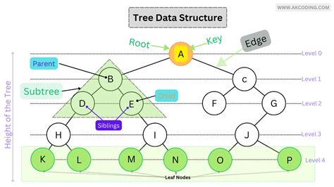 Image result for Tree Data Structure Python