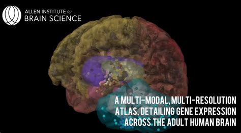 Science Brain 的图像结果