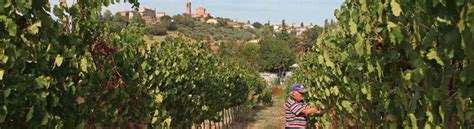 Image result for CMC Project