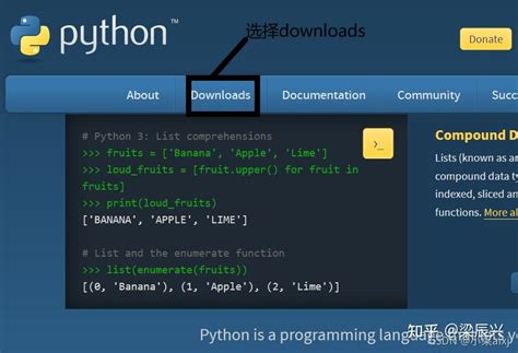 Free Python 的图像结果