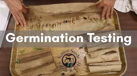 Image result for Seed Testing Lab