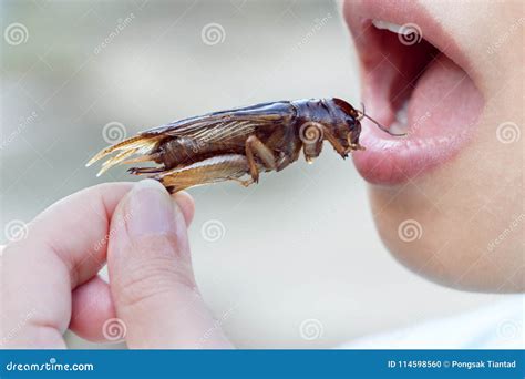 The Woman Opening Her Mouth To Eat Insects. the Concept of Protein Food ...