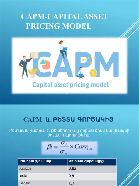Capm Application Example 的图像结果
