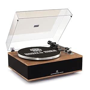 ANGELS HORN Vinyl Record Player, Bluetooth Turntable with 4 Stereo ...