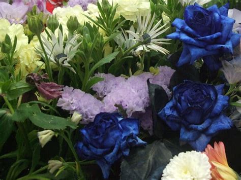 Spurlin Funeral Home | Stanford KY Funeral Home and Cremation Services