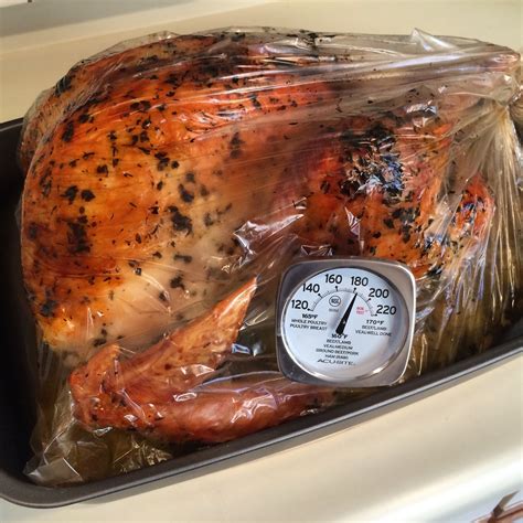 Sensory Overload: Thanksgiving - Cooking my First Turkey (with Oven Bag)