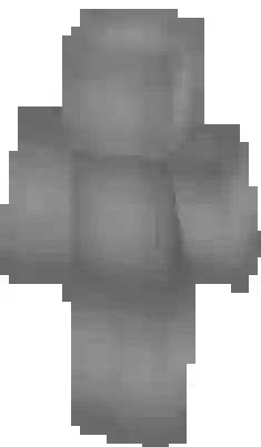 Image result for Minecraft Java Invisible Skin