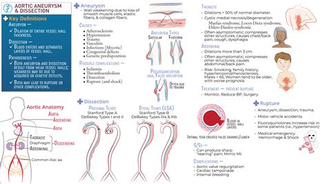 USMLE / COMLEX - Step 1: Aortic Aneurysm & Dissection | ditki medical ...