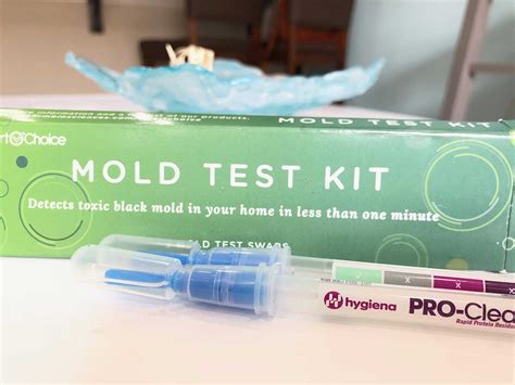The Best DIY Mold Test Kits (2023 Lab Results): Are They Worth It ...
