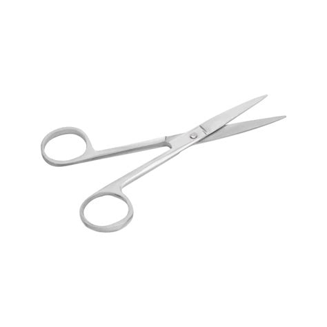 Buy Dissecting Scissors – Curved Edge Stainless Steel for Lab Dissecti ...