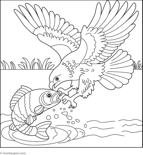 Birds Of Prey Coloring Pages Printable [2025]