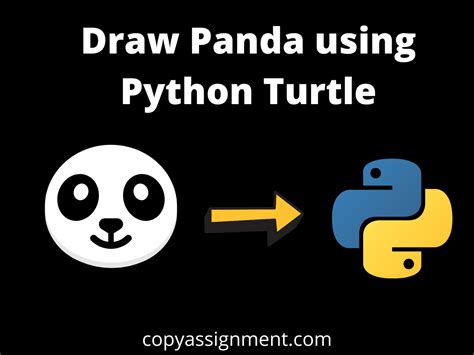 How to Draw with Turtle Python 的图像结果