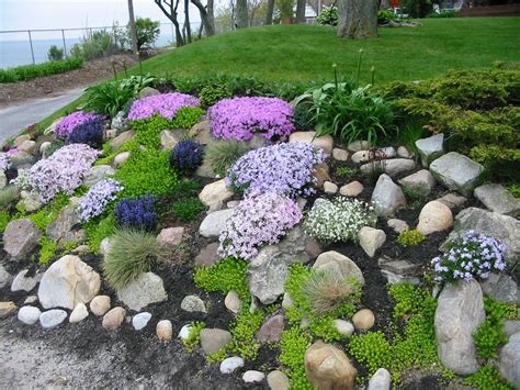 Rock garden perennials flower seeds 200seeds etsy – Artofit