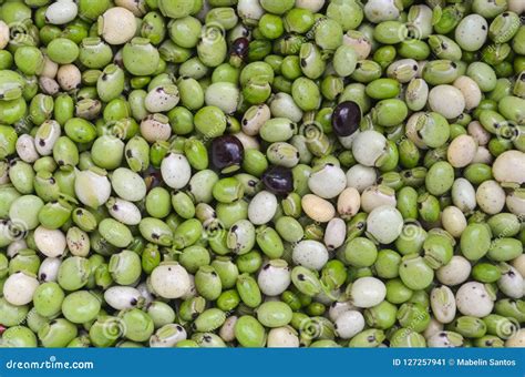 Fresh pigeon peas stock image. Image of fresh, nutrition - 127257941