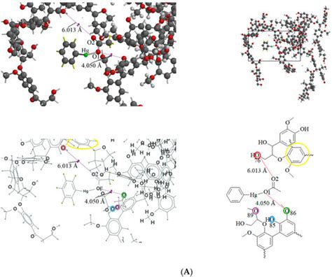 Study of Lignin-Modified Silica Gel Adsorption after Association with ...