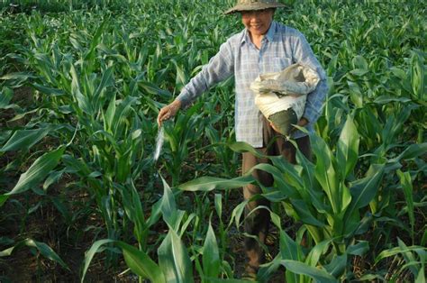 合理施肥的六大要诀 - 四川安达农森科技股份有限公司官网