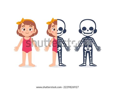 Image result for Structure and Function Children