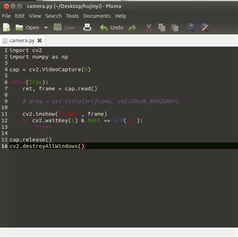 Video From Camera IP Serial Number in Python 的图像结果