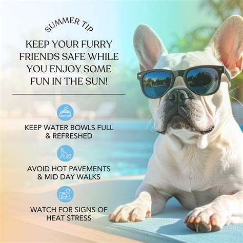 Estancia Estates - In addition to our Resident Portal, you also have ...