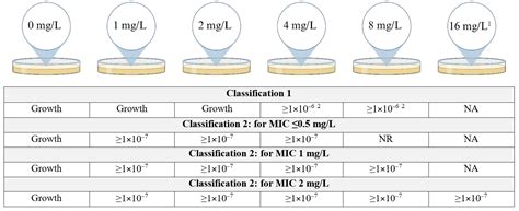 Assessment of Colistin Heteroresistance among Multidrug-Resistant ...