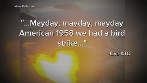 American Airlines flight engine catches fire from bird strike | wfaa.com