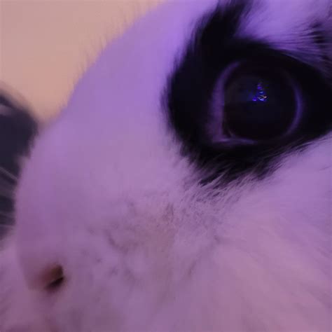 Impulse Mod Menu Download 的图像结果