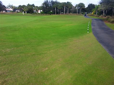 Copperleaf Golf Course Maintenance: November 2013
