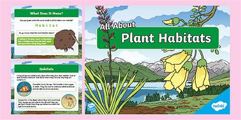 All About Plant Habitats PowerPoint