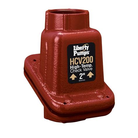 Liberty Pumps Swing Check Valve,Cast Iron,2",FNPT (HCV200) : Amazon.in ...
