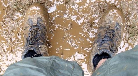 Science Confirms What Indians Always Do: Leave Shoes Outside Home, As ...