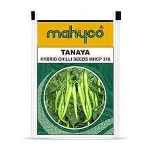 Tanaya Chilli Seeds - Mahyco | F1 Hybrid | Buy Online at Best Price ...