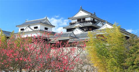 松山 城 に対する画像結果