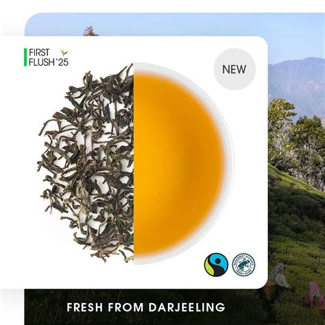 Buy First Flush Darjeeling Tea Online | 2024 Harvest | Teabox