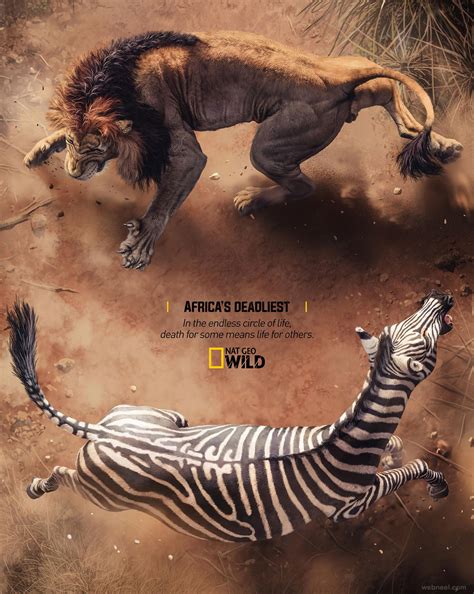 Print Advertisement 的图像结果