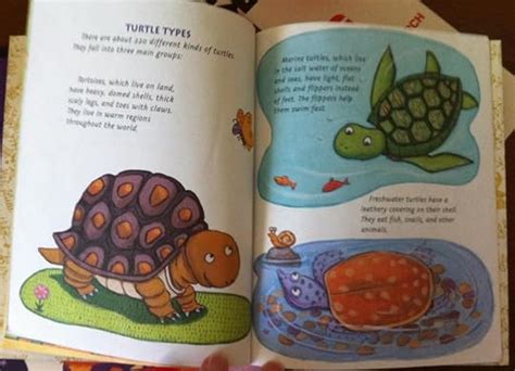 Image result for How the Turtle Got Its Shell Tale