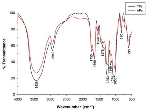 Sulfated Polysaccharide Extracted from the Green Algae Codium bernabei ...