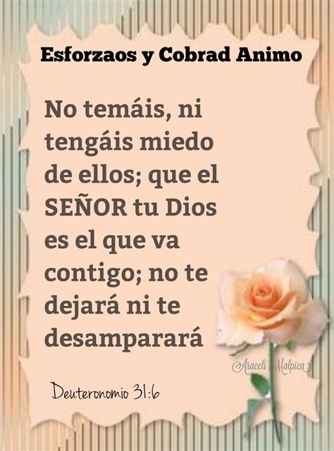 DEUTERONOMIO 31:6 | Palabra de dios biblia, Frases espirituales, Citas ...