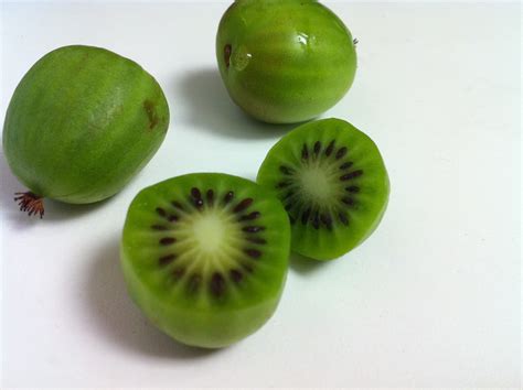 Newbie Foodies: Introducing: Kiwi Berries!