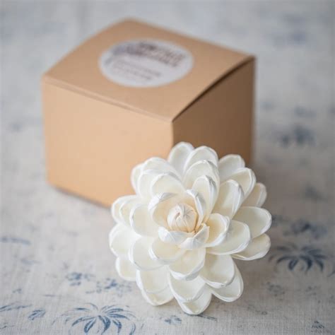 Image result for Fancy Wide Diffuser