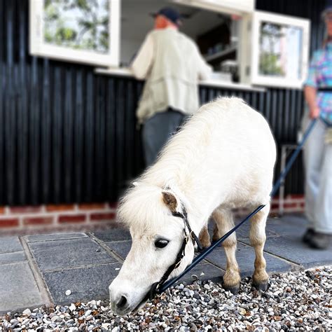 Our Menu - St John's Coffee Shop